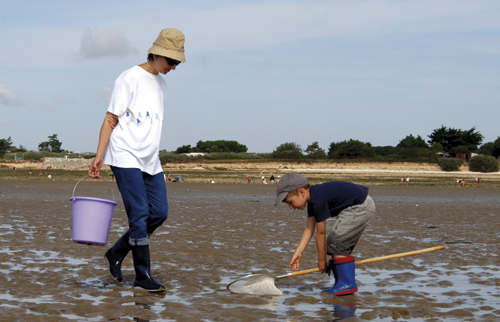 pêche à pied