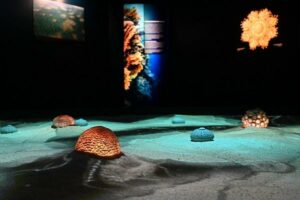 L'exposition "Climat Océan" au Musée Maritime de La Rochelle continue de vous faire découvrir l'univers océanique et ses enjeux après avoir été réadaptée en 2023. 